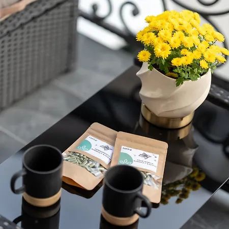 Apartment Zlatiborski Trenutak Wellness &