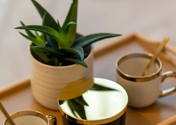 Zlatiborski Trenutak Wellness & شقة